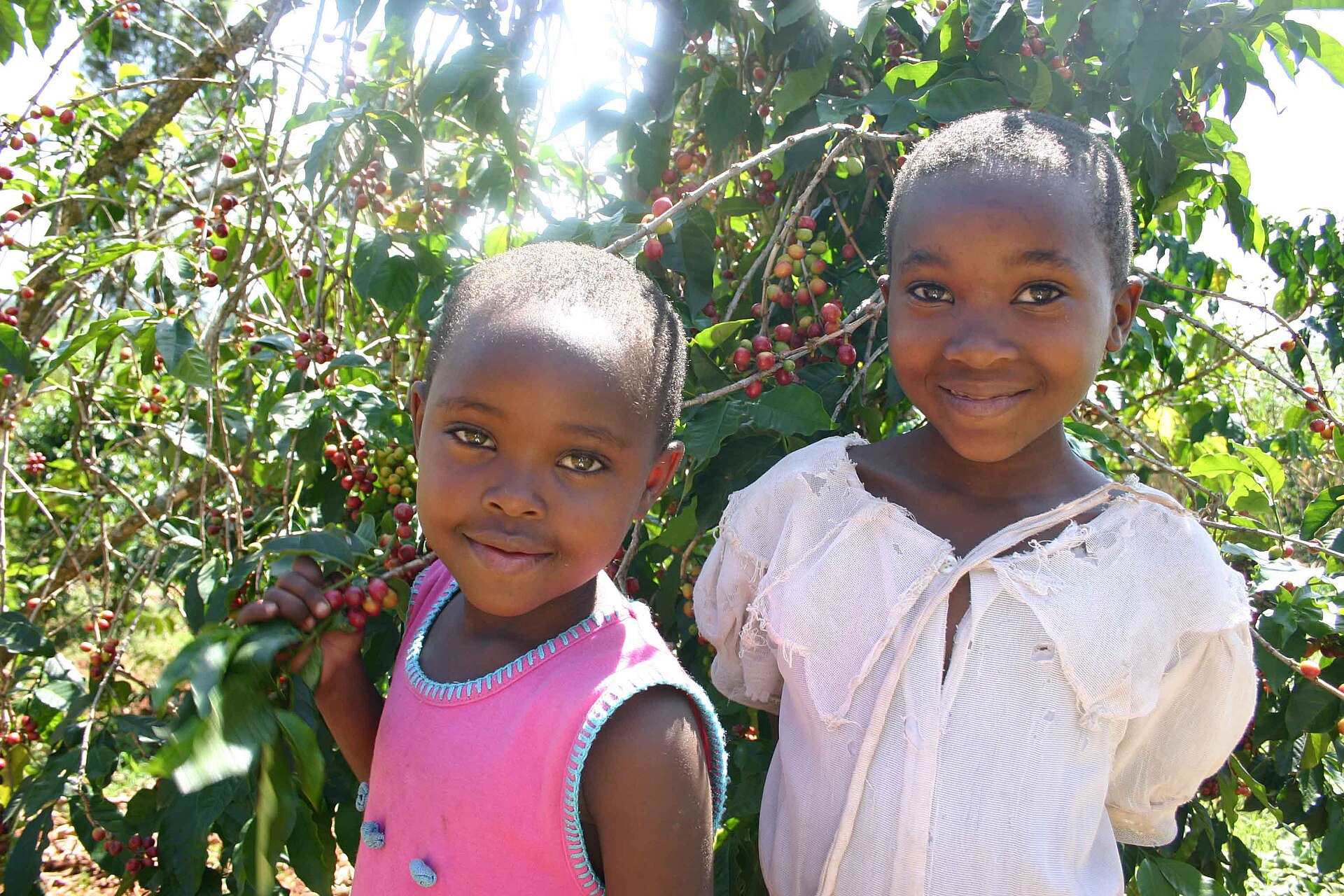 Huye Coffee Cooperative Tour in Huye