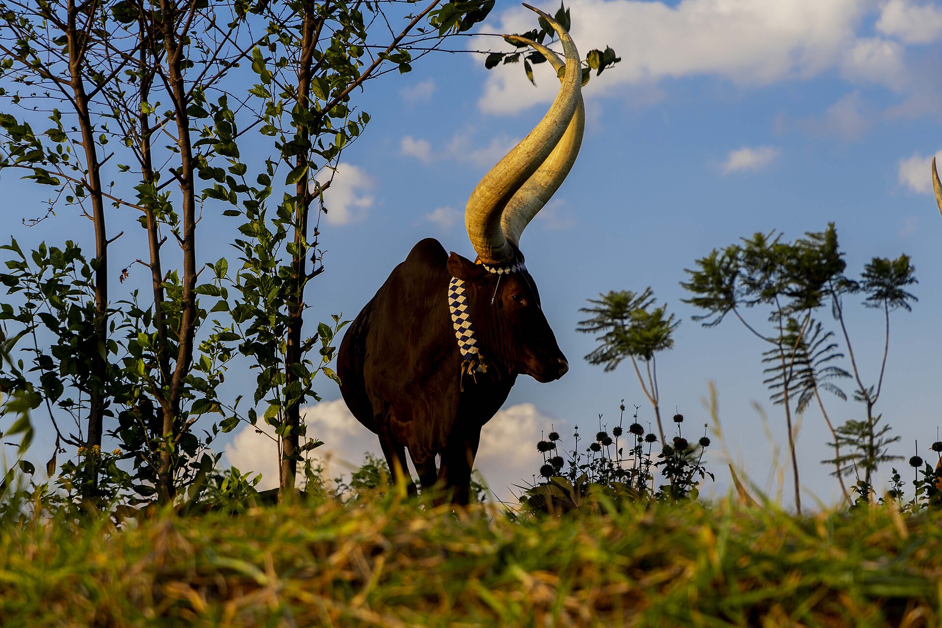 King’s Palace Heritage Tour in Nyanza